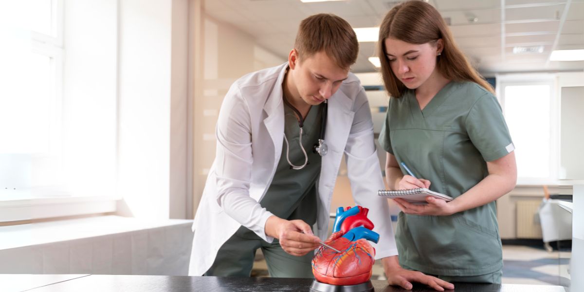 Role Of Cardiologists In Heart Health prevention